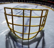 Schutzgitter / High Gold Candy Lasur